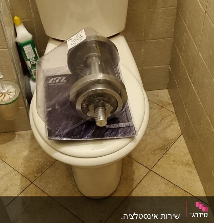 חלק חילוף מתכת על מושב אסלה בחדר אמבטיה